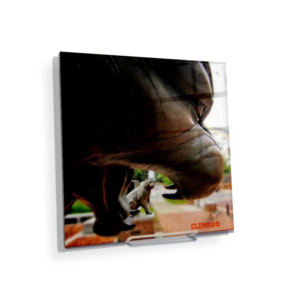 Clemson Tigers - Clemson Tigers